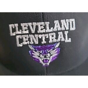 Cleveland Central Baseball‎ Cap  Snapback Purple/White Wolf Embroidered